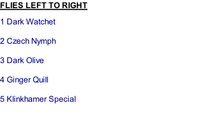 FLIES LEFT TO RIGHT 1	Dark Watchet  2	Czech Nymph  3	Dark Olive  4	Ginger Quill  5	Klinkhamer Special  6	Blue Charm